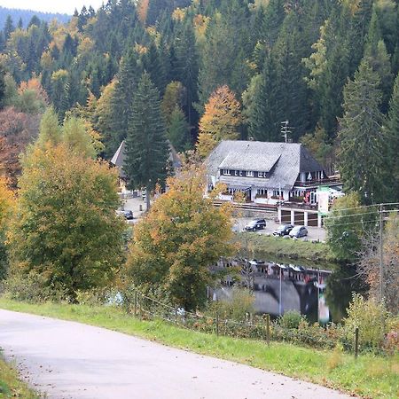 Klosterweiherhof Dachsberg im Schwarzwald Exterior photo