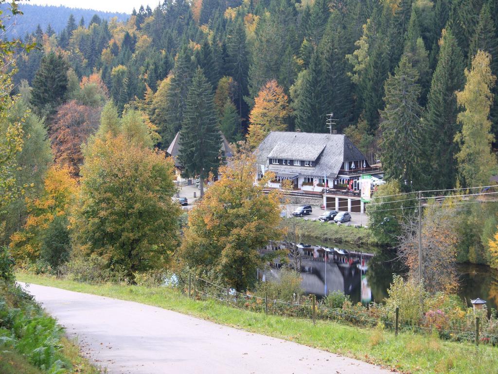 Klosterweiherhof Dachsberg im Schwarzwald Exterior photo